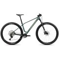 Alma M20 Mountain Bike Green
