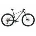 Bicicleta de montaña Alma M30 - Diamond Carbon View (Matt)