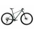 Alma M30 Mountain Bike - Seaweed Carbon View (Matt-Gloss)