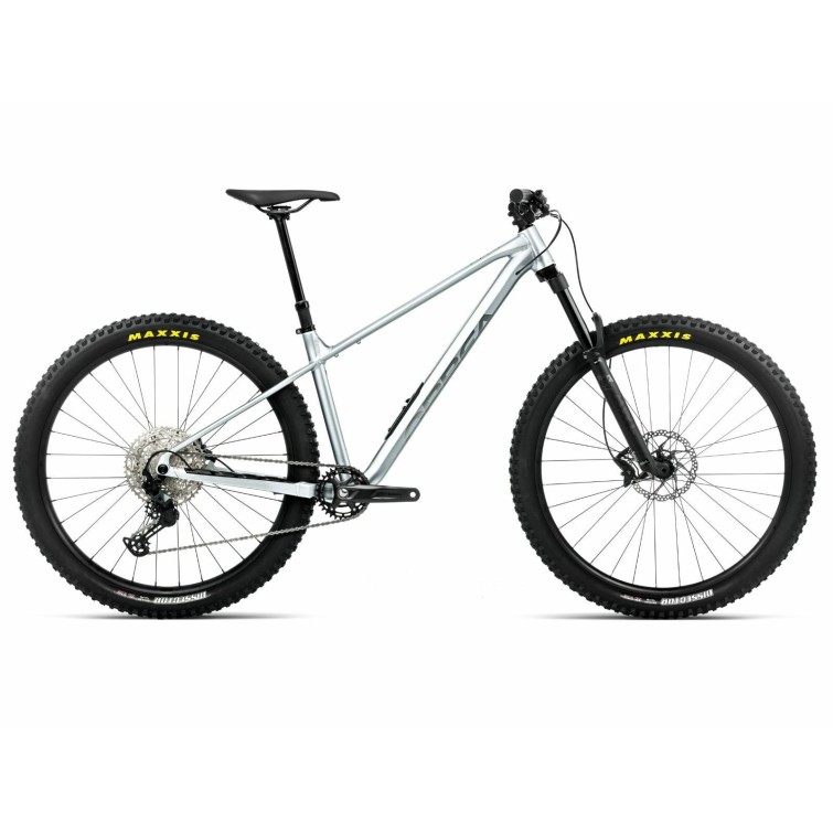 Bicicleta de montaña Laufey H10 Smooth Silver (Matt) - Titanium (Gloss)