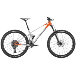 Raze Carbon R 29'' Mountain Bike Orange / Silver