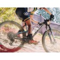 Bicicleta de montaña F-Podium RR Polaris Chameleon