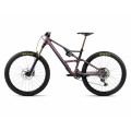 Occam LT M10 - Sunset Carbon View / Black (Matt) Mountain Bike