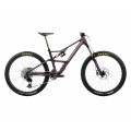 Occam LT M-TEAM - Sunset Carbon View / Black (Matt) Mountain Bike