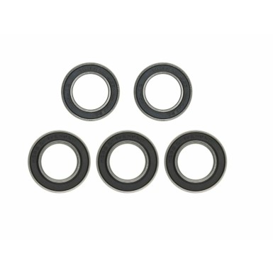 Kit de rodamientos para buje trasero PRO 4