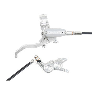 Freno de disco trasero Tech 4 EVO GR4 - Plata / Plata