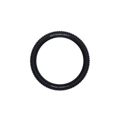 Neumático Magic Mary Evolution Tubeless Easy 29''
