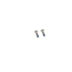 Vis acier pour adaptateur Flat Mount (X2)