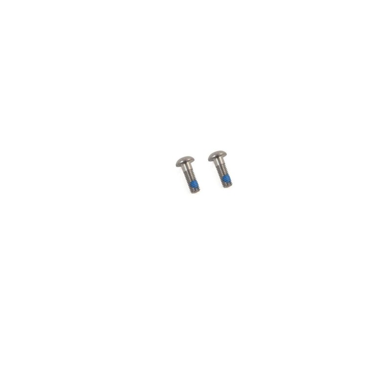 Tornillos de titanio para adaptador Flat Mount (X2)