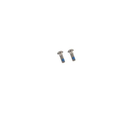 Tornillos de titanio para adaptador Flat Mount (x2)