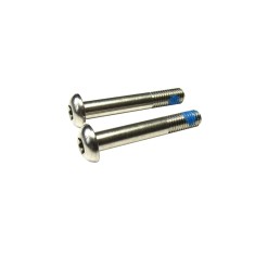 Titanium bolts for Flat Mount adapter (X2)