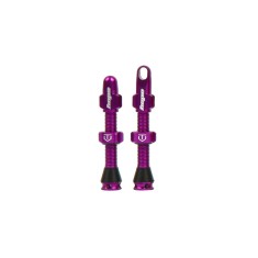 Par de válvulas tubeless