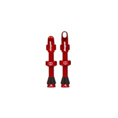 Par de válvulas tubeless