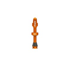 Válvula tubeless estándar