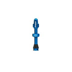 Válvula tubeless estándar