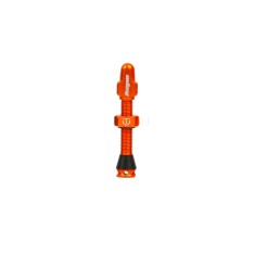 Válvula tubeless estándar