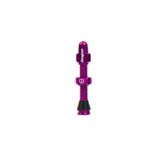 Válvula tubeless estándar