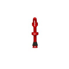 Válvula tubeless estándar