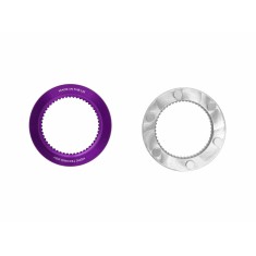 Center Lock to 6-Bolt Adapter