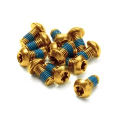 Tornillos M5 para disco de freno (X12)
