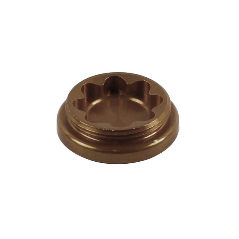 Bore cap for X2 caliper