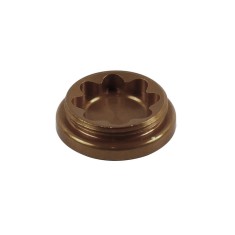 Bore cap for X2 caliper