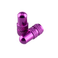 Bouchons de valve Presta (X2)