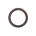 Racing Ralph Evolution Tubeless Easy 29'' Tire - Brown