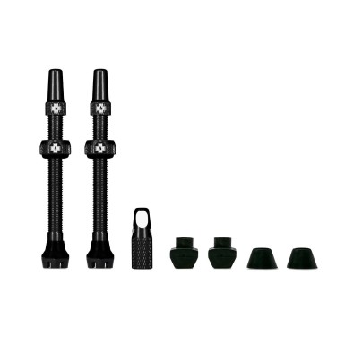 Valves tubeless V2 60 mm (X2)