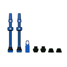 Válvulas tubeless V2 60 mm (X2)