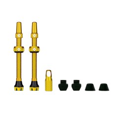 Válvulas tubeless V2 60 mm (X2)