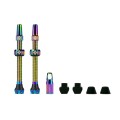 Válvulas tubeless V2 60 mm (X2)