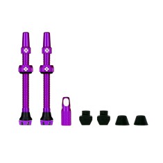 Válvulas tubeless V2 60 mm (X2)
