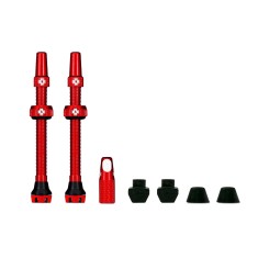 Válvulas tubeless V2 60 mm (X2)