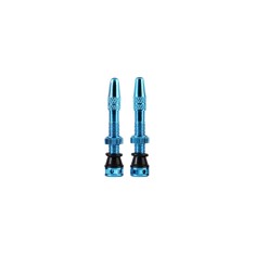 Válvulas tubeless (X2) 35 mm MKII