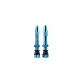 Válvulas tubeless (X2) 35 mm MKII