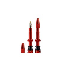 Valves tubeless (X2) 44 mm MKII