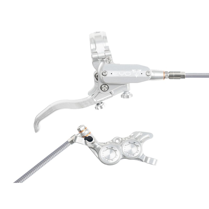 Freno de disco trasero Tech 4 EVO GR4 - Plata / Plata