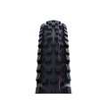 Magic Mary Evolution Tubeless Easy Tire 29''