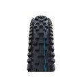 Nobby Nic Evolution Tubeless Easy Tire 26''