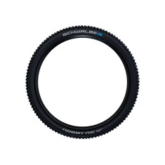 Nobby Nic Evolution Tubeless Easy Tire 26''
