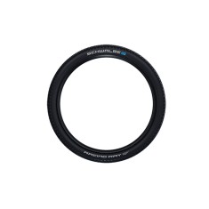 Racing Ray Evolution Tubeless Easy Tire 27.5''