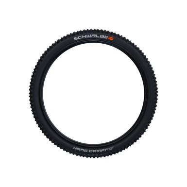 Pneu Hans Dampf Evolution Tubeless Easy 29"