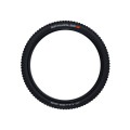 Big Betty Evolution Tubeless Easy Tire 29"