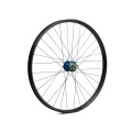 Fortus 35 Blue 29'' Rear Wheel