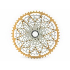 Cassette Gravel Gen 2 XD/XDR de 12 velocidades - Oro