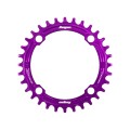 Retainer Ring R22 104 BCD Chainring - Purple