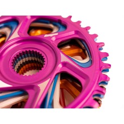 Plateau Retainer Ring R22 Spiderless E-Bike Bosch - Violet