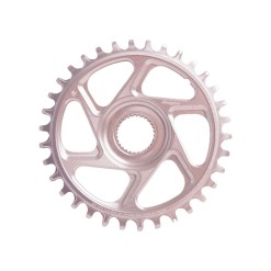 Plateau Retainer Ring R22 Spiderless E-Bike Shimano - Argent