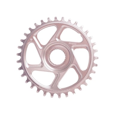 Plato Retainer Ring R22 Spiderless E-Bike Shimano - Plata